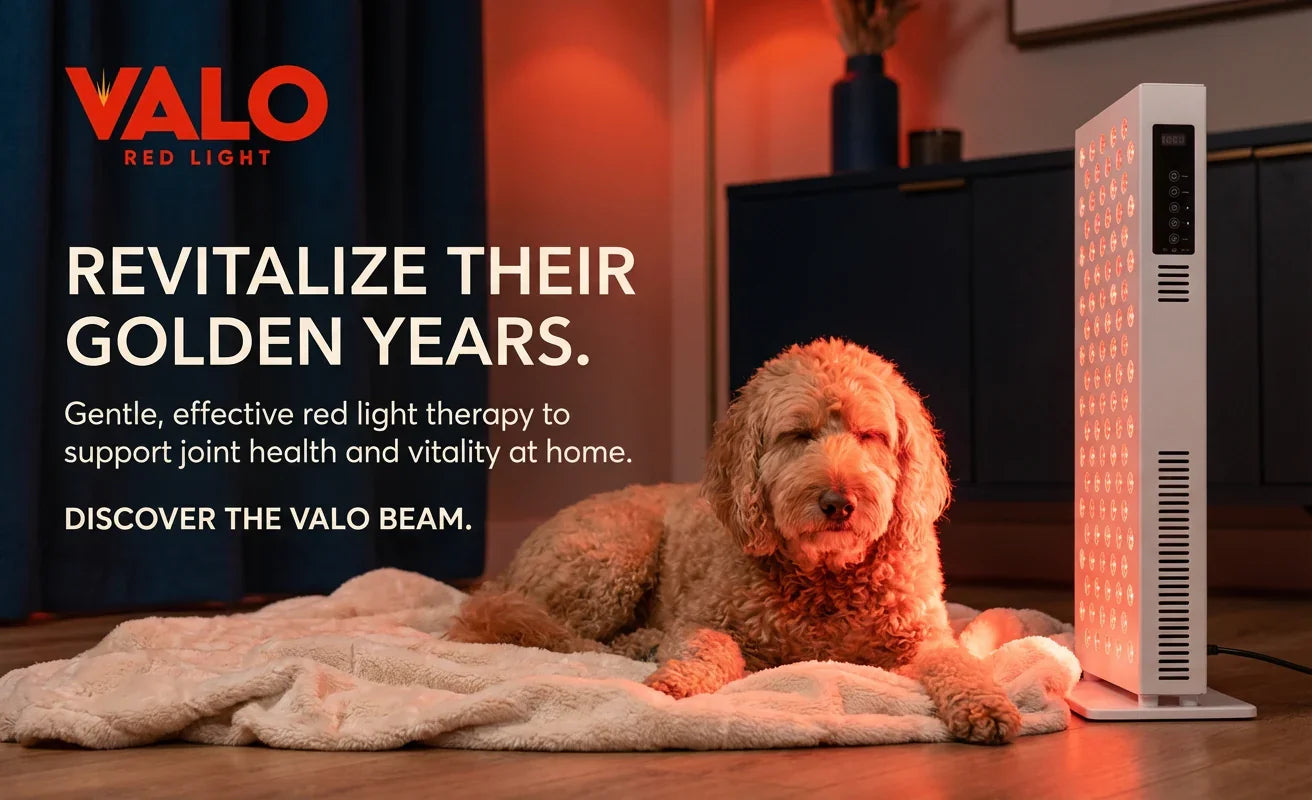 Red Light Therapy for Pets: Science-Backed Benefits for Your Furry Friends